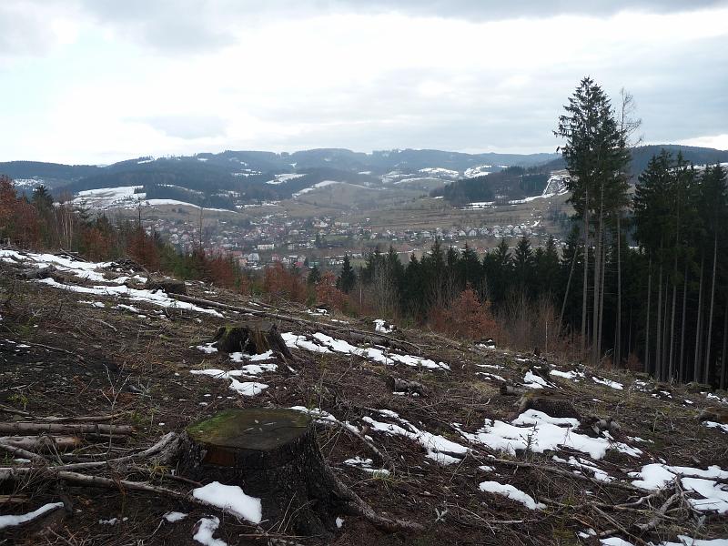 P1040231.JPG