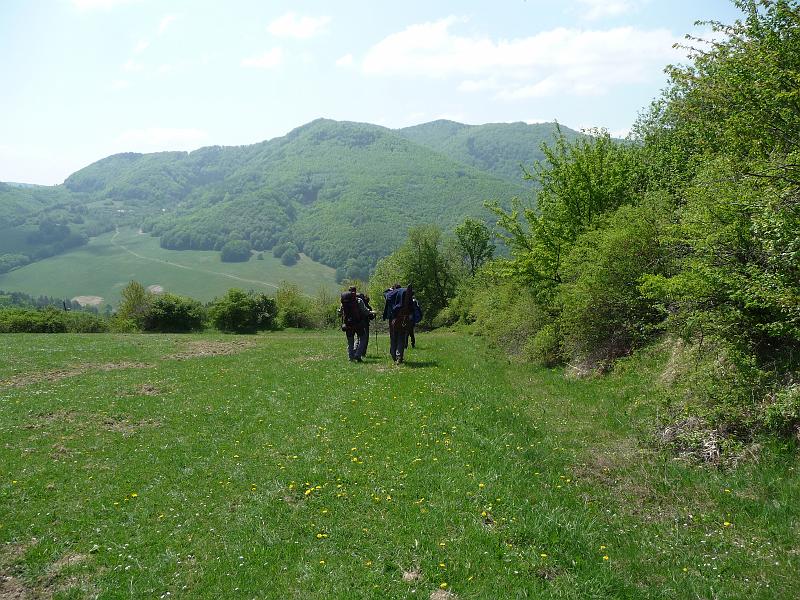P1040883.JPG