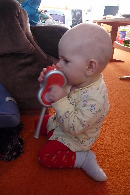 P1130175.JPG
