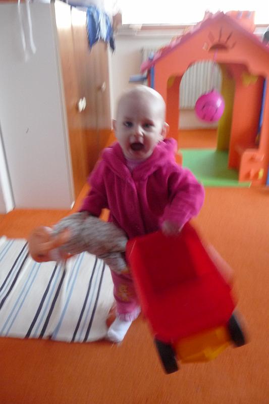 P1130747.JPG