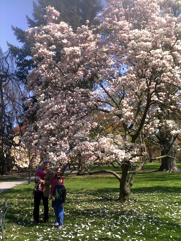 21042011176.jpg