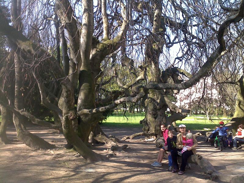 21042011179.jpg