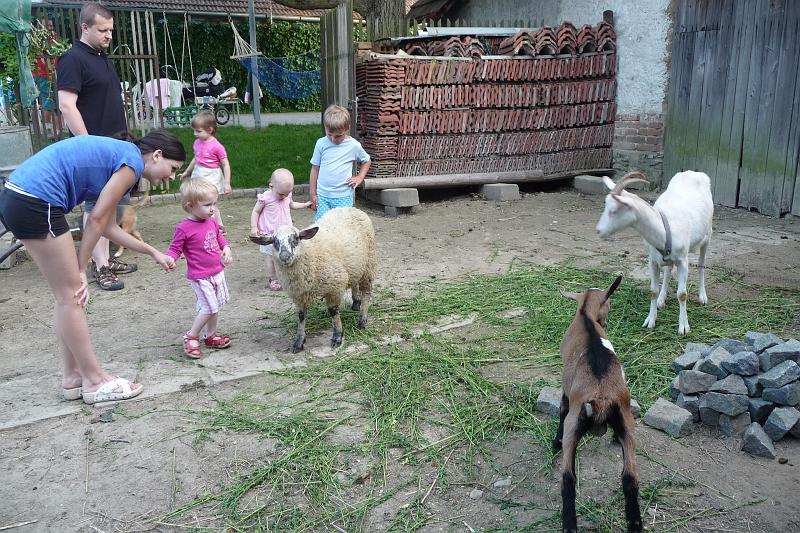 P1150564.JPG