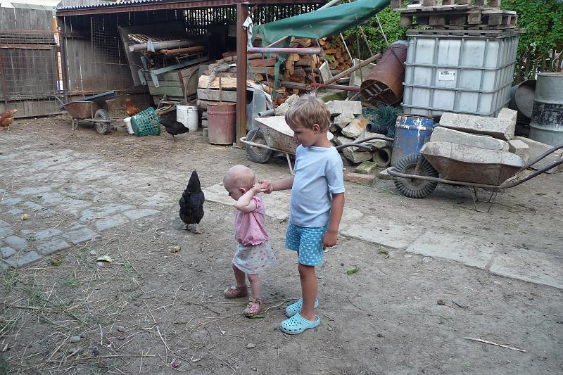 P1150572.JPG