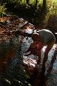 P1170606
