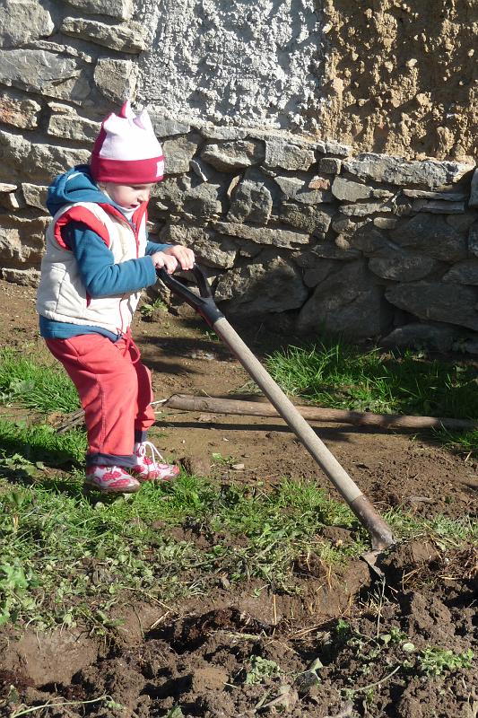 P1230633.JPG