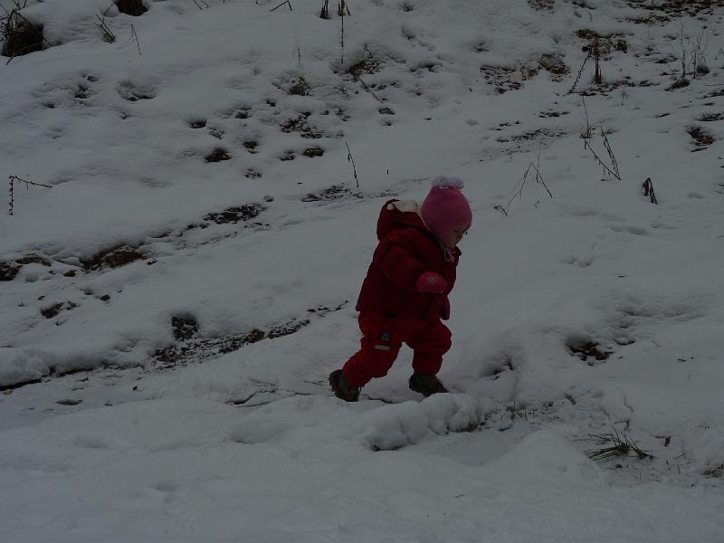 P1070033.JPG