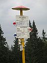 IMG_1221