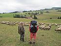 IMG_1287