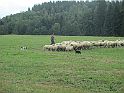 IMG_1341