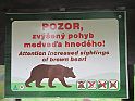 IMG_1373