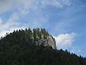 IMG_1398