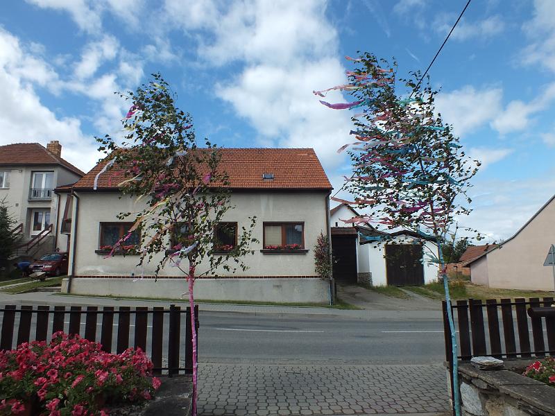 DSCF0446.JPG