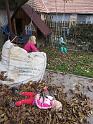 IMG_0539