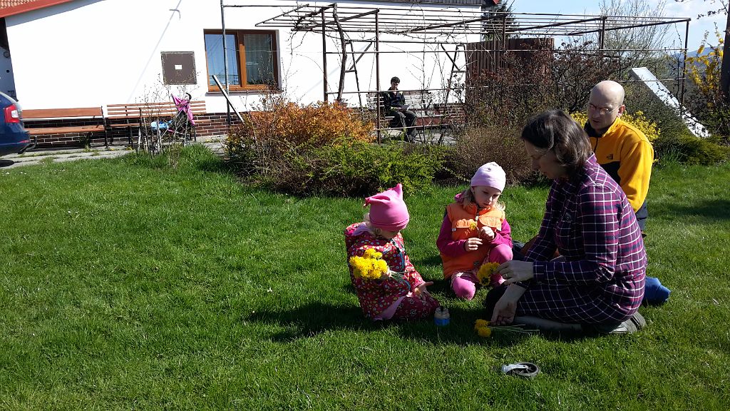 20150425_101316.jpg - IICSAuser