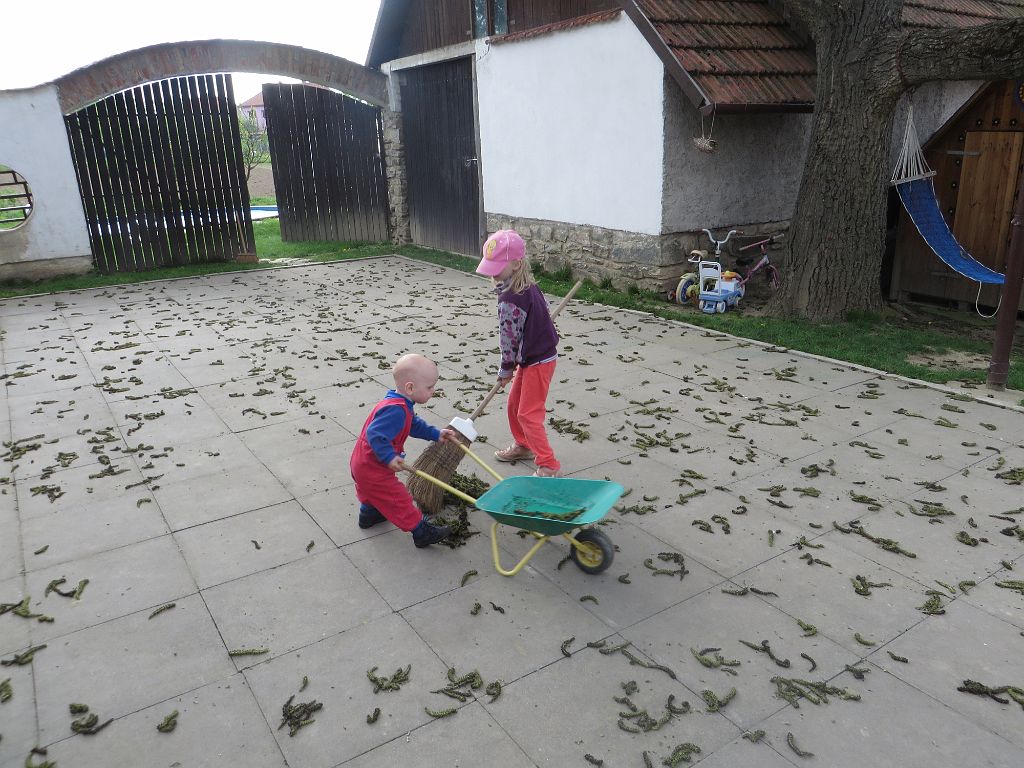 IMG_2562.JPG