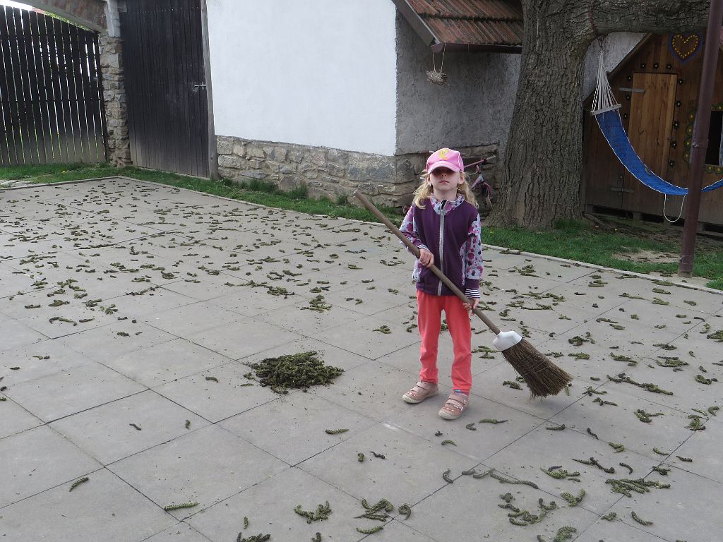 IMG_2568.JPG