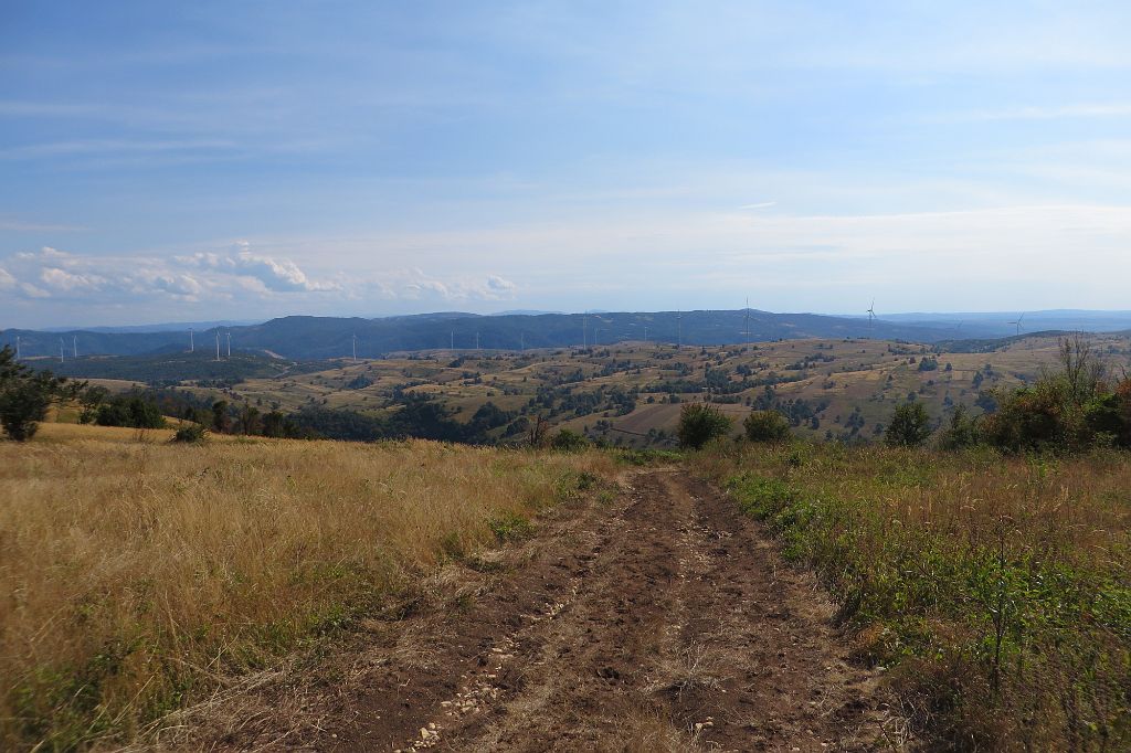 IMG_4352.JPG