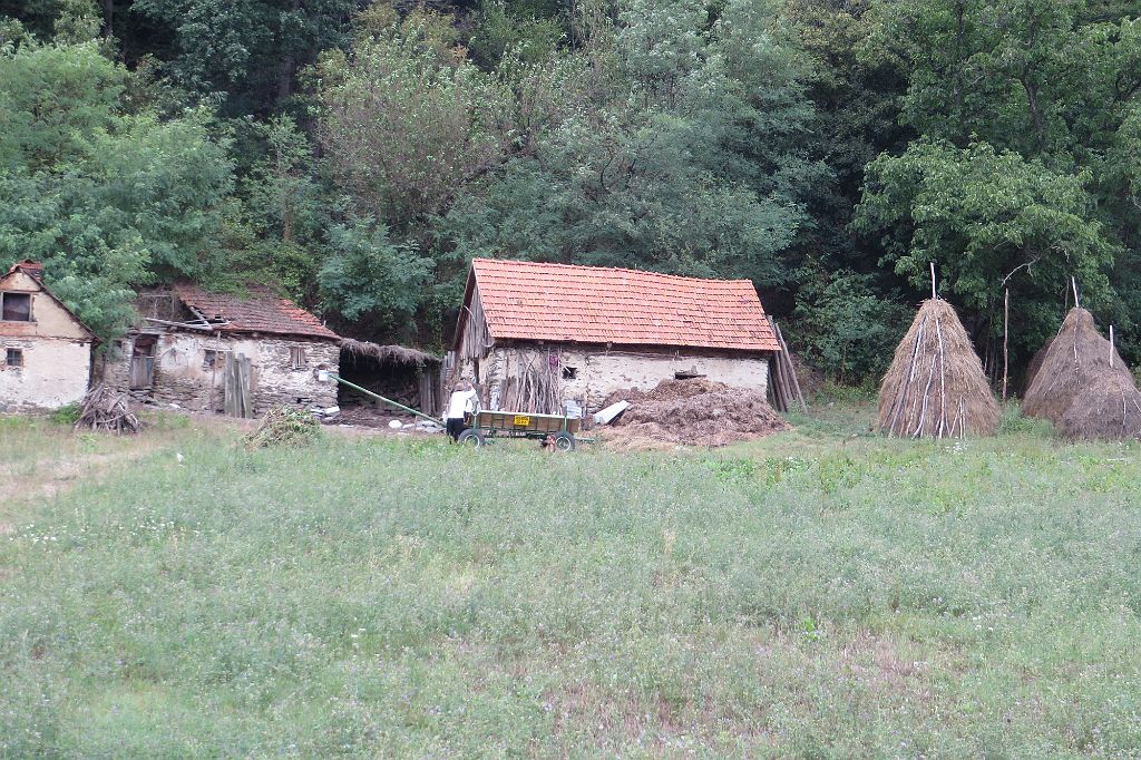 IMG_4410.JPG