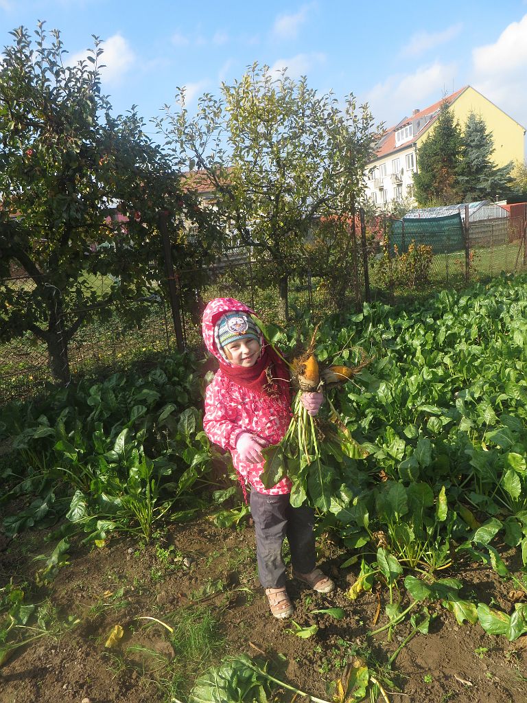 IMG_4799.JPG