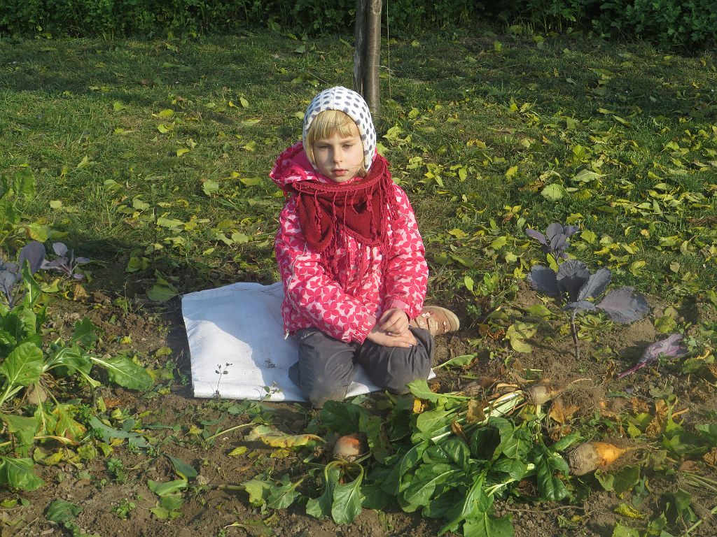 IMG_4806.JPG